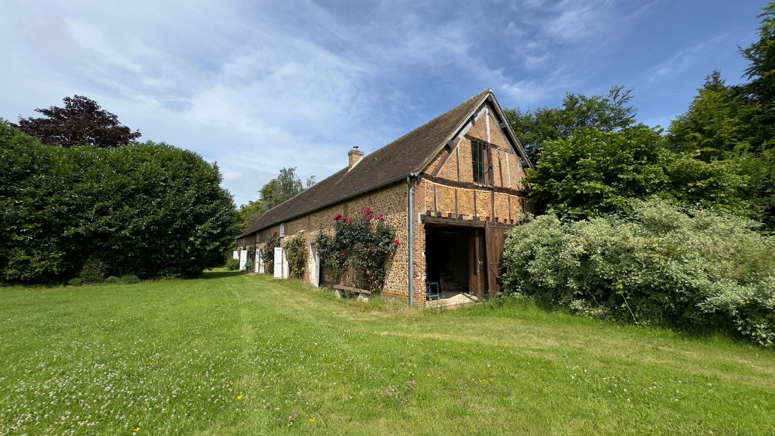 Lush parkland of the Manoir de Chambord with lawns and century-old trees